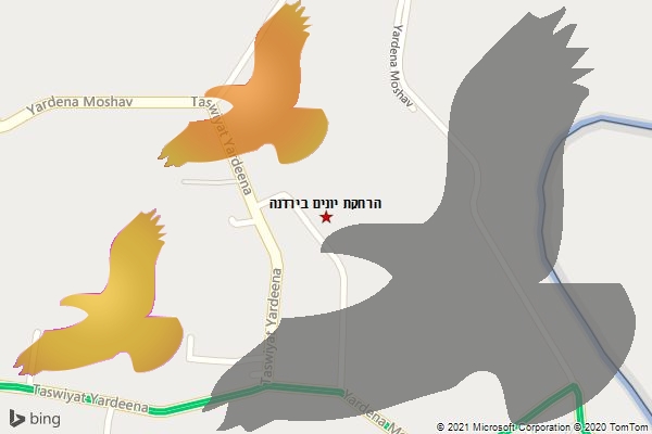 הרחקת יונים בירדנה