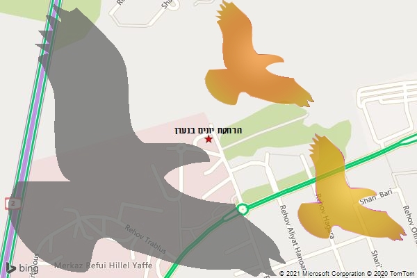 הרחקת יונים בנערן