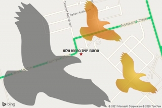 מרחיק יונים בפתחת שלום - הרחקת יונים בפתחת שלום