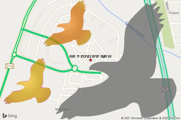 הרחקת יונים בקיבוץ יד חנה