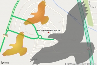 מרחיק יונים בקיבוץ יד חנה - הרחקת יונים בקיבוץ יד חנה