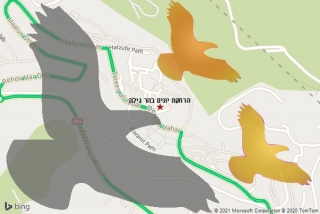 מרחיק יונים בהר גילה - הרחקת יונים בהר גילה