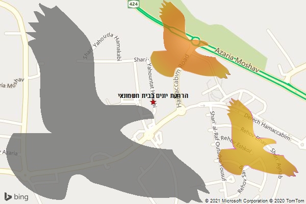 הרחקת יונים בבית חשמונאי
