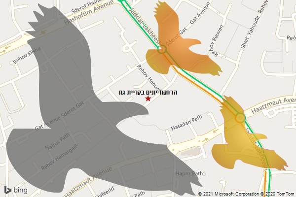 הרחקת יונים בקריית גת