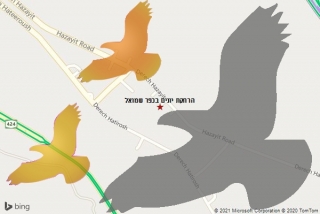 מרחיק יונים בכפר שמואל - הרחקת יונים בכפר שמואל