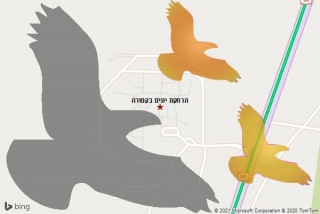 מרחיק יונים בקטורה - הרחקת יונים בקטורה