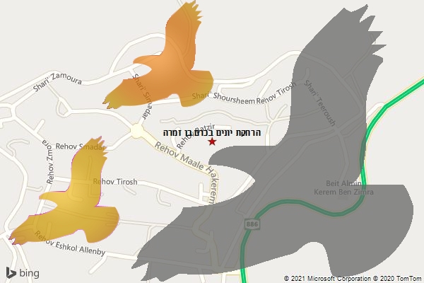 הרחקת יונים בכרם בן זמרה