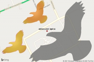 מרחיק יונים בחולתה - הרחקת יונים בחולתה