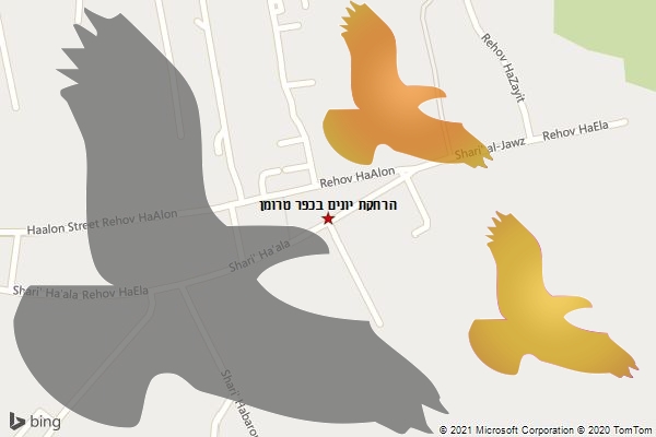 הרחקת יונים בכפר טרומן