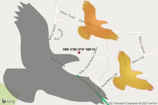 מרחיק יונים בשדה משה - הרחקת יונים בשדה משה