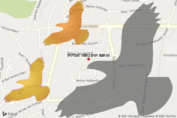 הרחקת יונים בחצור הגלילית