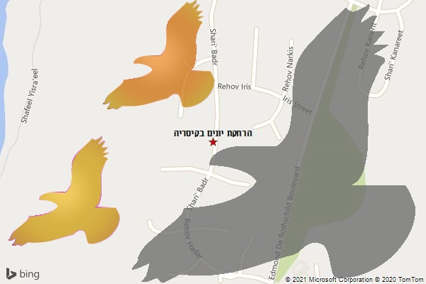 הרחקת יונים בקיסריה