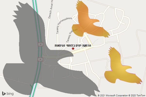 הרחקת יונים בלוחמי הגיטאות
