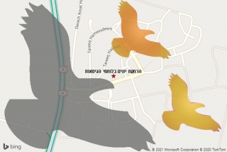 מרחיק יונים בלוחמי הגיטאות - הרחקת יונים בלוחמי הגיטאות