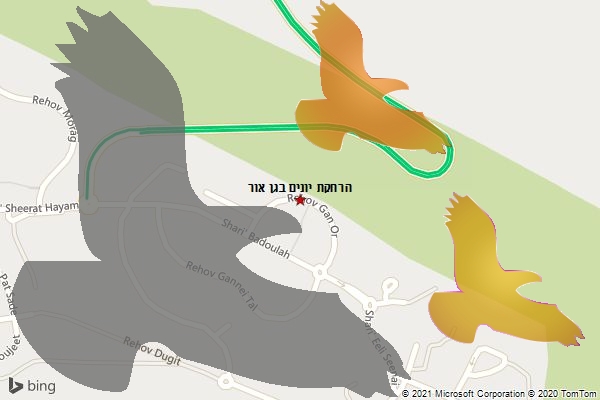 הרחקת יונים בגן אור
