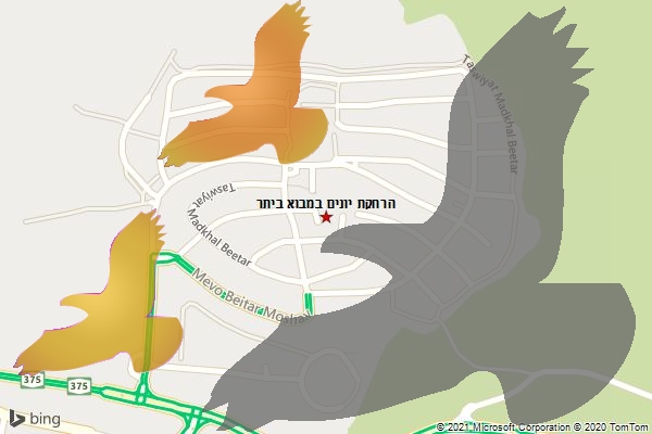 הרחקת יונים במבוא ביתר