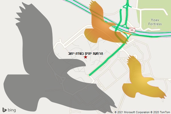 הרחקת יונים בשדה יואב
