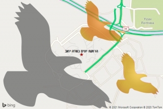 מרחיק יונים בשדה יואב - הרחקת יונים בשדה יואב