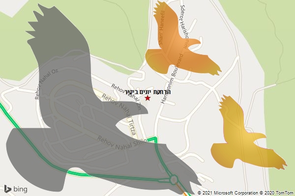 הרחקת יונים ביקיר