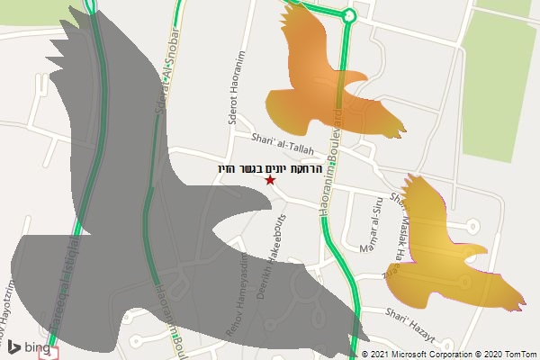 הרחקת יונים בגשר הזיו