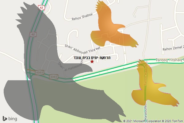 הרחקת יונים בבית עובד