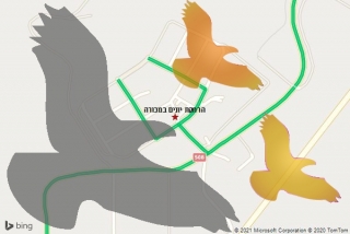 מרחיק יונים במכורה - הרחקת יונים במכורה