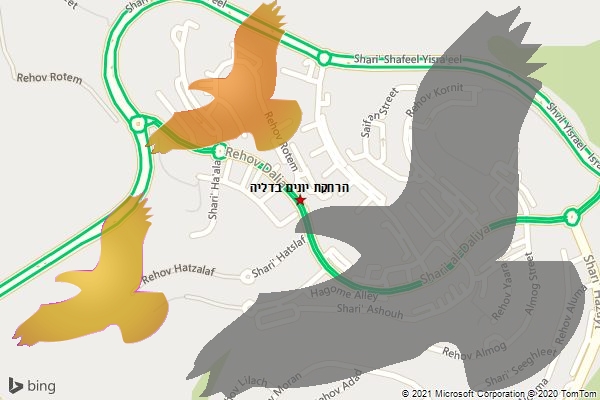 הרחקת יונים בדליה