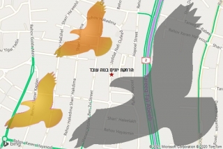 מרחיק יונים בנוה עובד - הרחקת יונים בנוה עובד