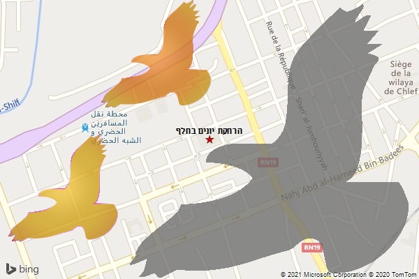 הרחקת יונים בחלף