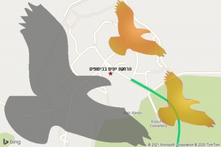 מרחיק יונים בכיסופים - הרחקת יונים בכיסופים