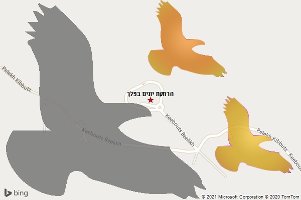הרחקת יונים בפלך