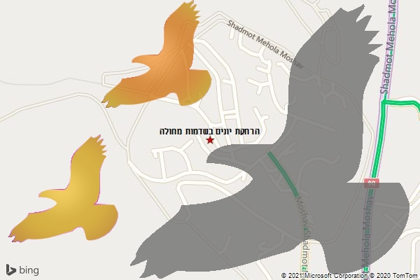הרחקת יונים בשדמות מחולה