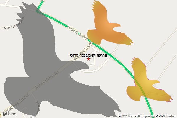 הרחקת יונים בכפר מרדכי