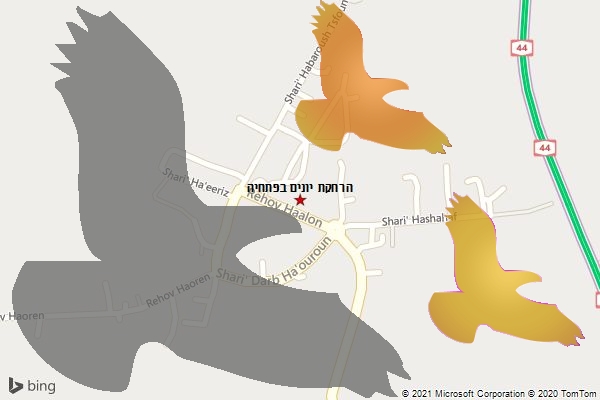 הרחקת יונים בפתחיה
