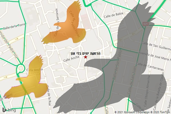 הרחקת יונים בלי און
