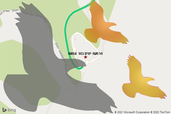 הרחקת יונים בהר עמשא