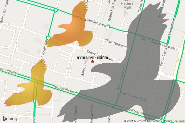 הרחקת יונים בחדרה