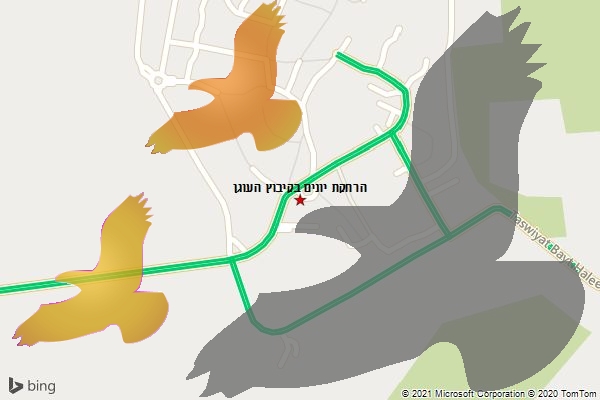הרחקת יונים בקיבוץ העוגן