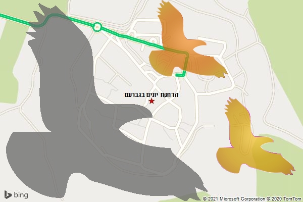 הרחקת יונים בגברעם