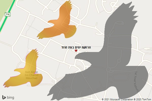 הרחקת יונים בעין חרוד