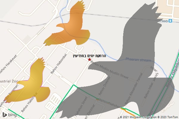הרחקת יונים במודיעין