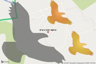 מרחיק יונים ברגבים - הרחקת יונים ברגבים