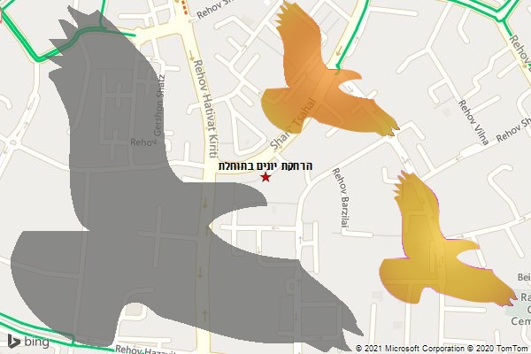 הרחקת יונים בתוחלת