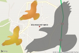 מרחיק יונים בקיבוץ גדות - הרחקת יונים בקיבוץ גדות
