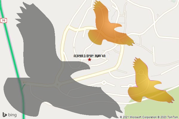 הרחקת יונים במצובה