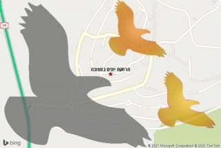 מרחיק יונים במצובה - הרחקת יונים במצובה
