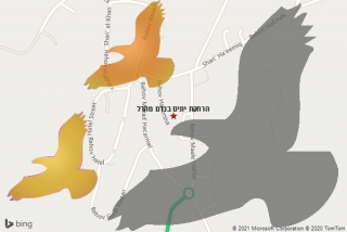  בכרם מהרל - הרחקת יונים בכרם מהרל