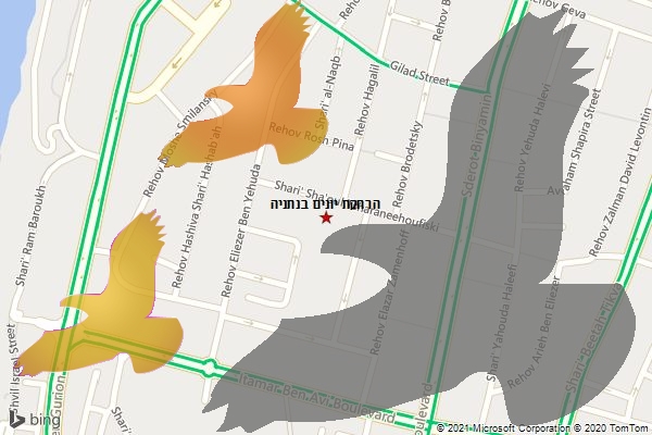 הרחקת יונים בנתניה