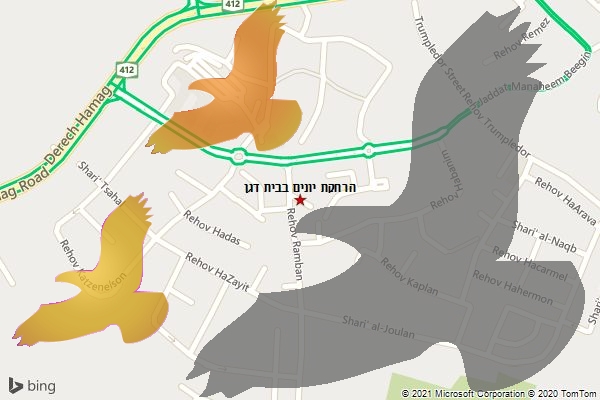הרחקת יונים בבית דגן