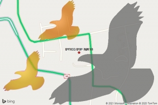 מרחיק יונים בכורזים - הרחקת יונים בכורזים